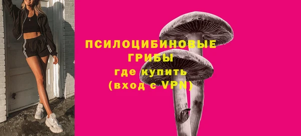 спиды Абаза