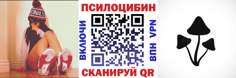 купить наркоту  Ильский  Псилоцибиновые грибы Psilocybine cubensis 